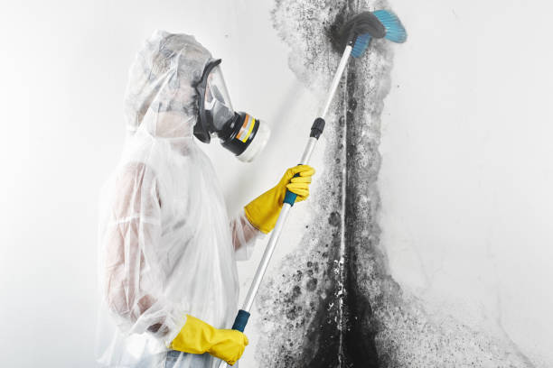 Best Air Quality Testing for Mold Spores  in Santa Teresa, NM