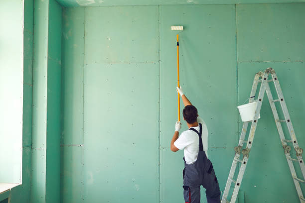 Best Attic Mold Removal  in Santa Teresa, NM