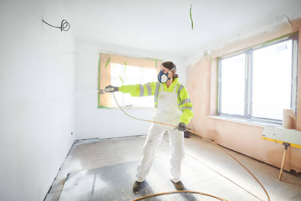Best Mold Odor Removal Services  in Santa Teresa, NM