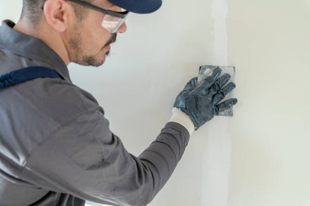Best Residential Mold Inspection & Testing  in Santa Teresa, NM