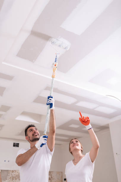 Best Mold Removal for HVAC Installations  in Santa Teresa, NM