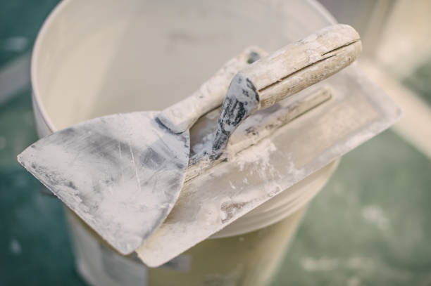 Best Mold Remediation for Healthcare Facilities  in Santa Teresa, NM