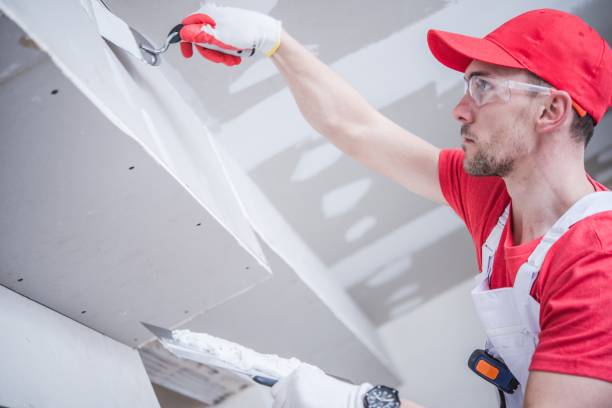Best Industrial Mold Remediation  in Santa Teresa, NM