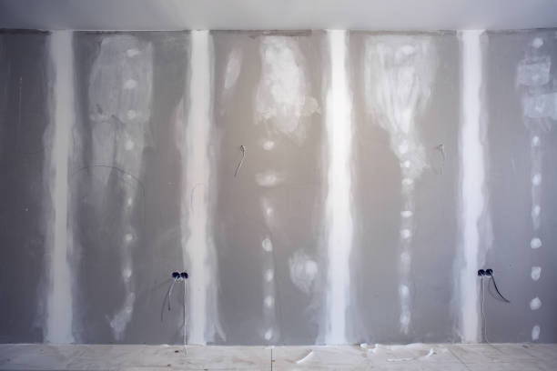 Best Asbestos and Lead Testing During Mold Inspection  in Santa Teresa, NM